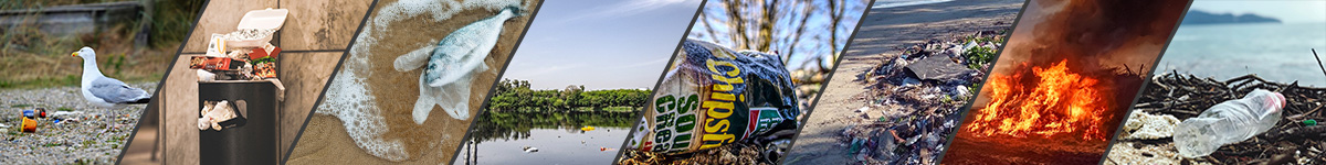 Verschmutzung durch Plastik